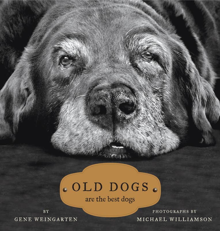 Simon & Schuster - Old Dogs by
