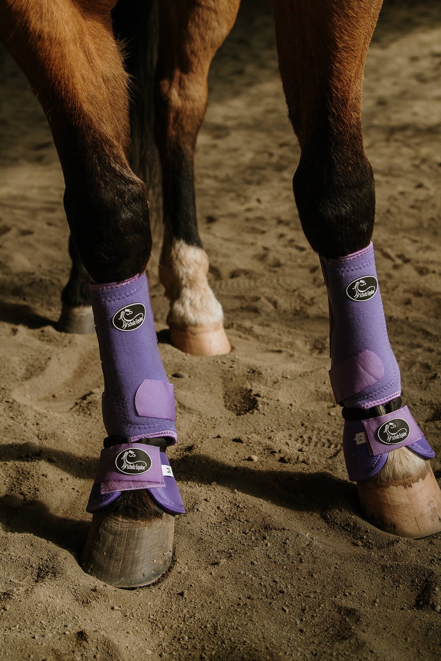 Schulz Equine - AirFlow Sports Boots- 2 Pack