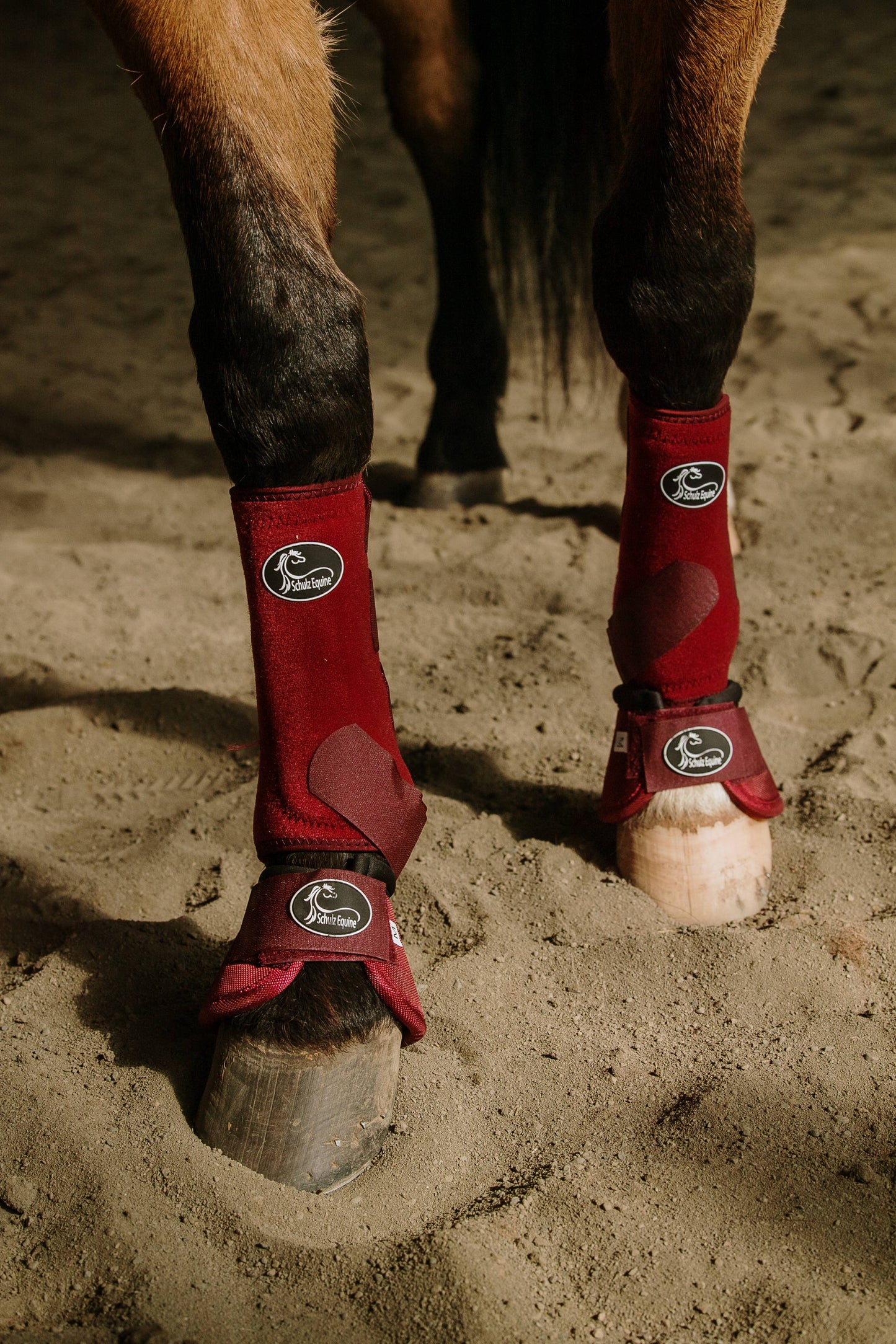 Schulz Equine - AirFlow Sports Boots- 2 Pack