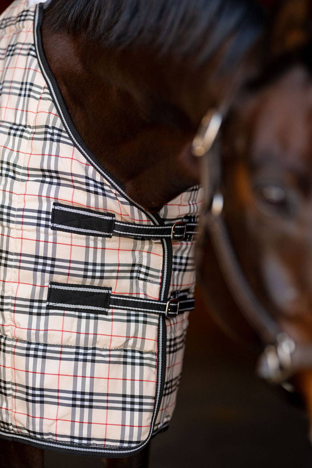 JPC Equestrian - TuffRider Comfy Standard Neck Medium Weight Stable Blanket- 1200D, 200GSM