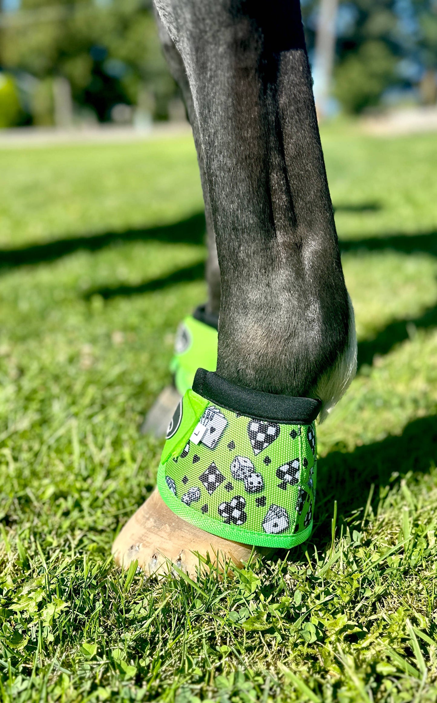 Schulz Equine - Bell Boots