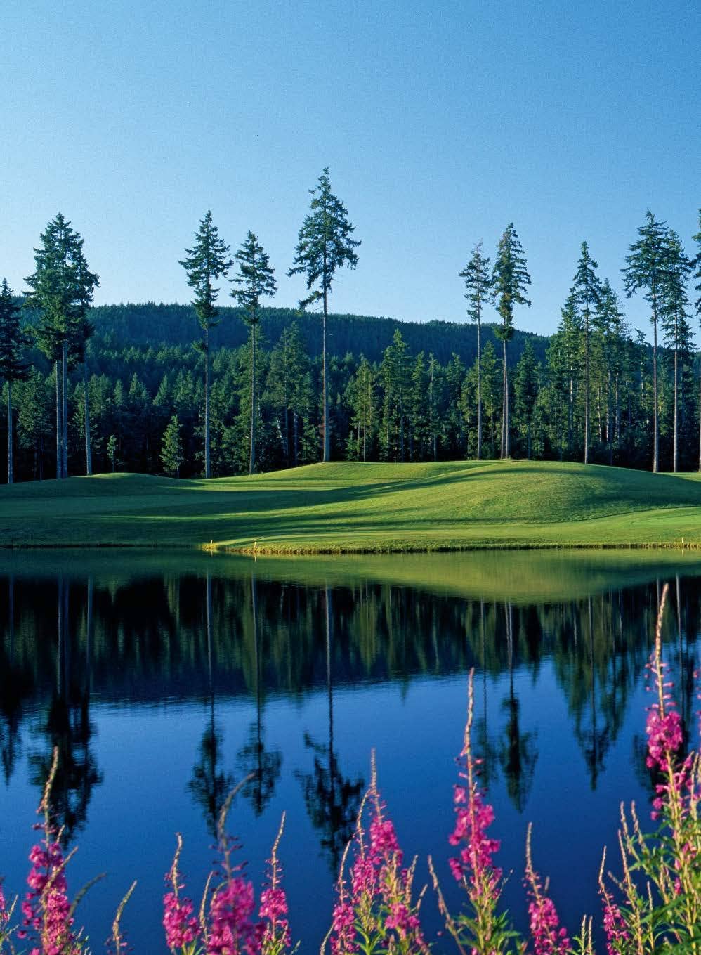 Simon & Schuster - 150 golf courses you need to visit before you die by Stefanie Waldek
