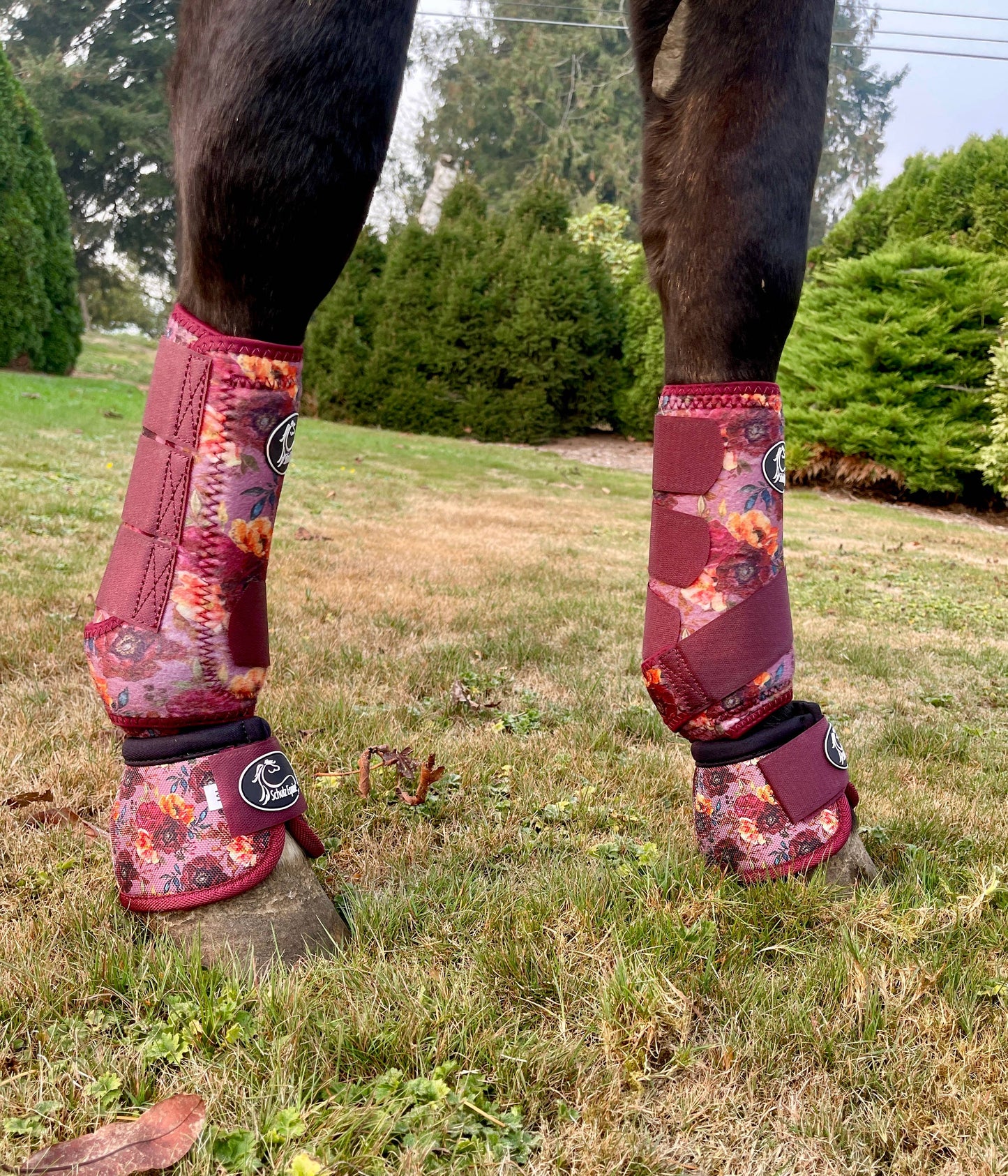Schulz Equine - AirFlow Sports Boots- 2 Pack