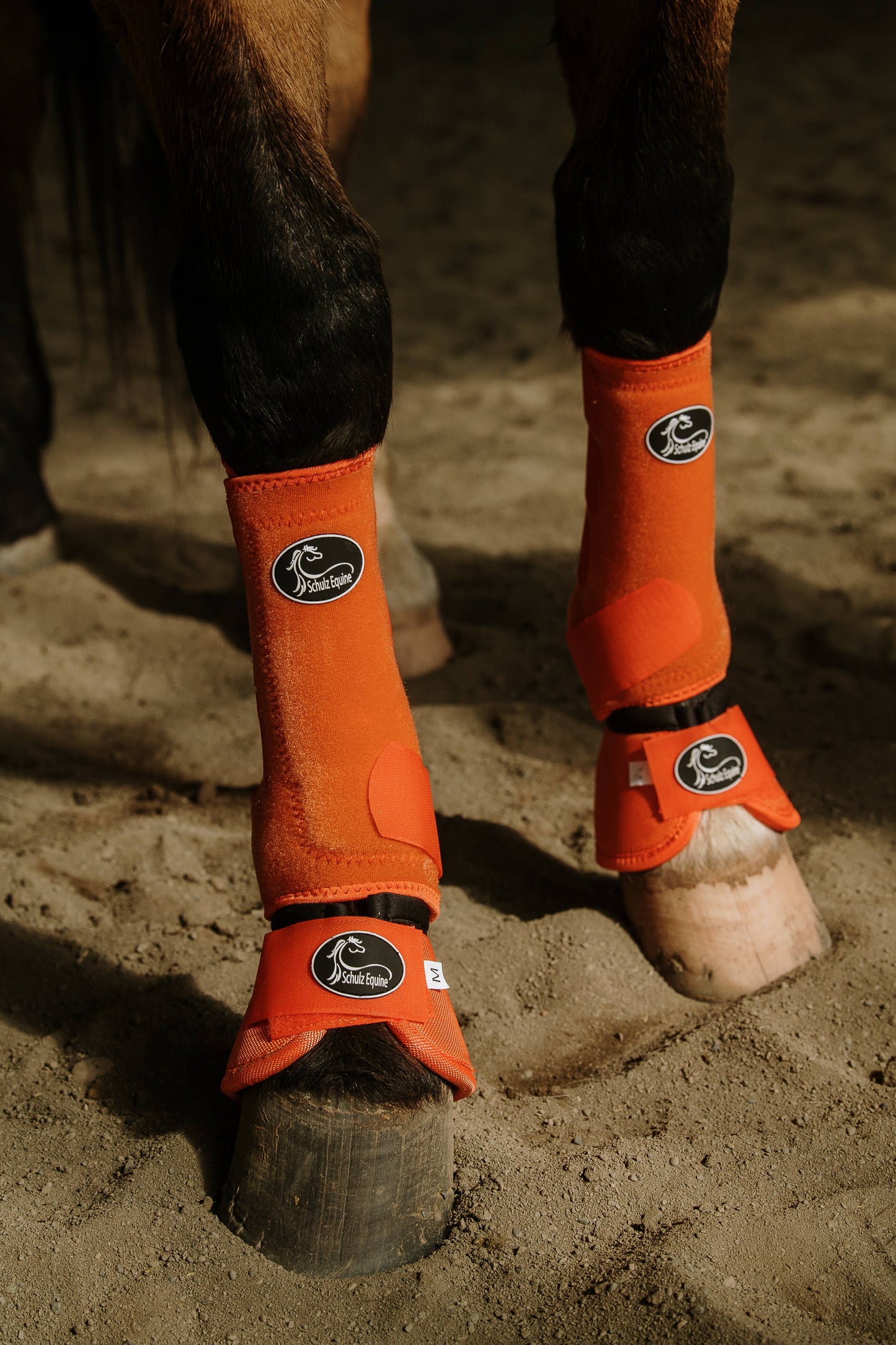 Schulz Equine - AirFlow Sports Boots- 2 Pack