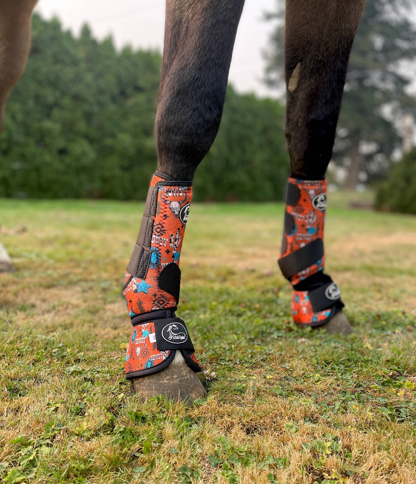 Schulz Equine - AirFlow Sports Boots- 2 Pack